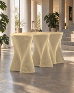 Parametric Clownfish Desk in Baltic birch plywood, CNC-cut and made to order in Mississauga for the GTA